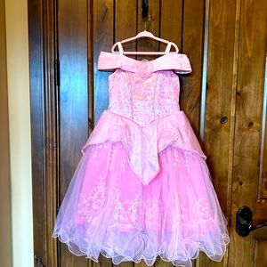 Princess Aurora's Dress
